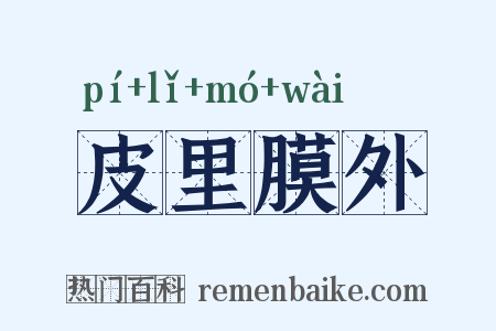 皮里膜外是什么意思的图片